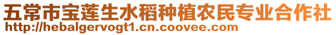 五常市寶蓮生水稻種植農民專業合作社