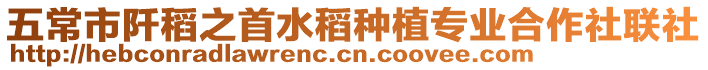 五常市阡稻之首水稻種植專業合作社聯社