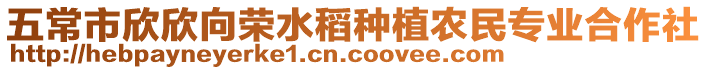 五常市欣欣向榮水稻種植農民專業合作社