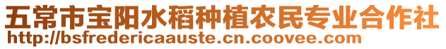 五常市寶陽水稻種植農民專業合作社