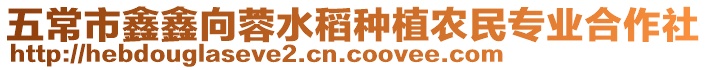 五常市鑫鑫向蓉水稻種植農民專業合作社