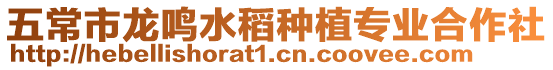 五常市龍鳴水稻種植專業合作社