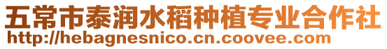 五常市泰潤水稻種植專業(yè)合作社