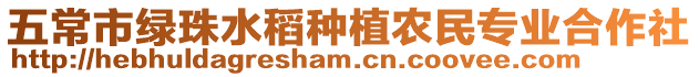 五常市綠珠水稻種植農民專業合作社