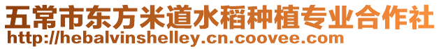 五常市東方米道水稻種植專業合作社