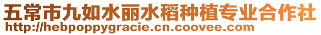 五常市九如水麗水稻種植專業(yè)合作社