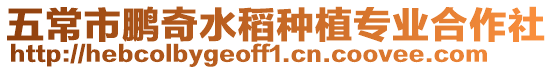 五常市鵬奇水稻種植專業合作社