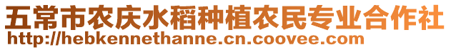 五常市農慶水稻種植農民專業合作社