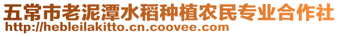 五常市老泥潭水稻種植農民專業合作社