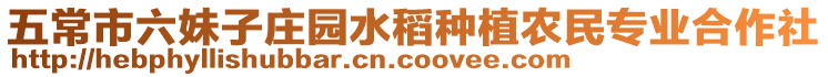 五常市六妹子莊園水稻種植農(nóng)民專業(yè)合作社