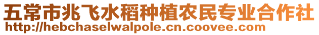 五常市兆飛水稻種植農(nóng)民專業(yè)合作社