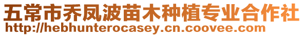 五常市喬鳳波苗木種植專業合作社