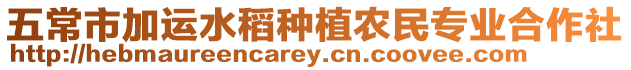 五常市加運水稻種植農(nóng)民專業(yè)合作社