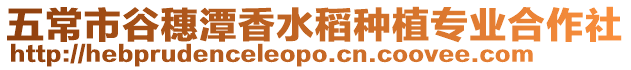 五常市谷穗潭香水稻種植專業合作社