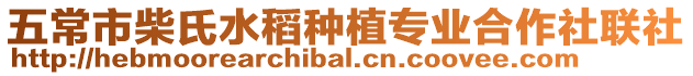 五常市柴氏水稻種植專業合作社聯社