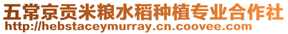 五常京貢米糧水稻種植專業(yè)合作社