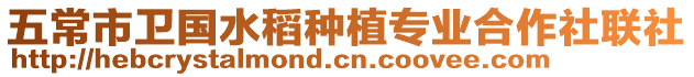 五常市衛國水稻種植專業合作社聯社