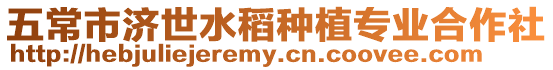 五常市濟世水稻種植專業合作社