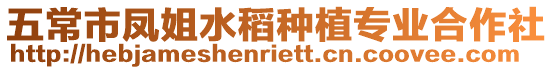 五常市鳳姐水稻種植專業(yè)合作社