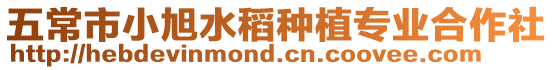 五常市小旭水稻種植專業合作社
