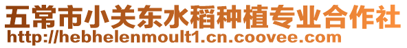 五常市小關東水稻種植專業合作社