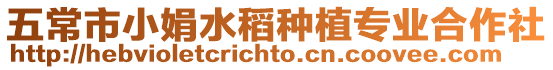五常市小娟水稻種植專業合作社