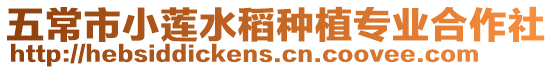 五常市小蓮水稻種植專業合作社