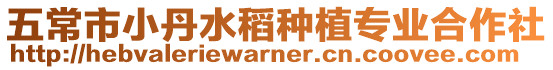 五常市小丹水稻種植專業合作社