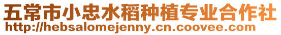 五常市小忠水稻種植專業合作社