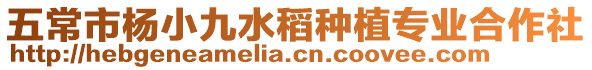 五常市楊小九水稻種植專業合作社