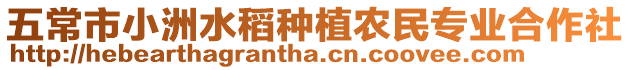 五常市小洲水稻種植農民專業合作社