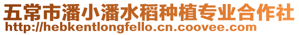 五常市潘小潘水稻種植專業合作社