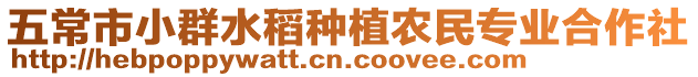 五常市小群水稻種植農民專業合作社