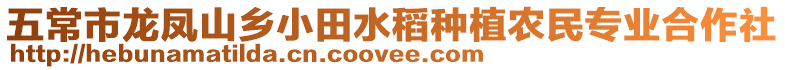 五常市龍鳳山鄉(xiāng)小田水稻種植農(nóng)民專業(yè)合作社