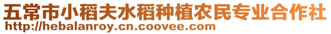 五常市小稻夫水稻種植農民專業合作社