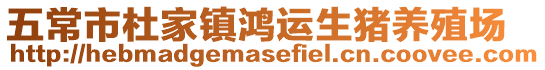 五常市杜家鎮(zhèn)鴻運生豬養(yǎng)殖場