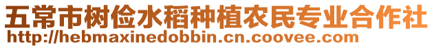 五常市樹(shù)儉水稻種植農(nóng)民專業(yè)合作社