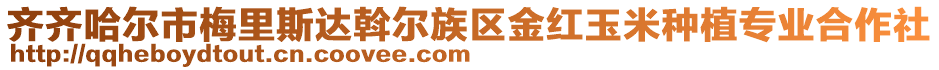 齊齊哈爾市梅里斯達(dá)斡爾族區(qū)金紅玉米種植專(zhuān)業(yè)合作社