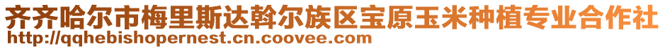 齊齊哈爾市梅里斯達(dá)斡爾族區(qū)寶原玉米種植專業(yè)合作社