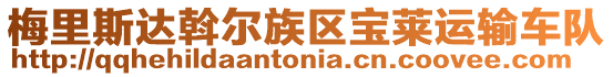 梅里斯達斡爾族區寶萊運輸車隊