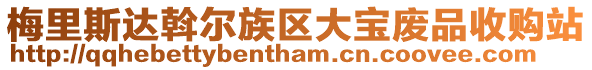 梅里斯達斡爾族區大寶廢品收購站