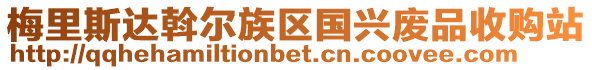 梅里斯達斡爾族區(qū)國興廢品收購站