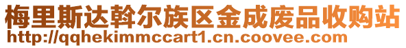 梅里斯達斡爾族區金成廢品收購站