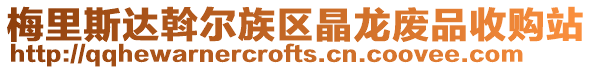 梅里斯達斡爾族區晶龍廢品收購站