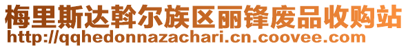 梅里斯達斡爾族區麗鋒廢品收購站