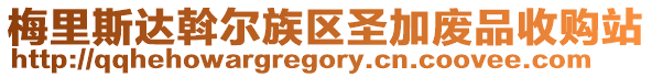 梅里斯達斡爾族區圣加廢品收購站