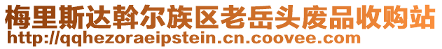 梅里斯達斡爾族區老岳頭廢品收購站