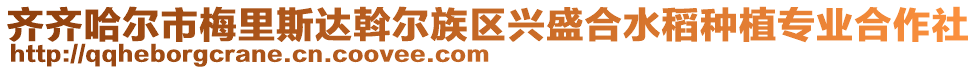 齊齊哈爾市梅里斯達斡爾族區興盛合水稻種植專業合作社