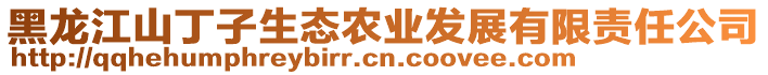 黑龍江山丁子生態(tài)農(nóng)業(yè)發(fā)展有限責(zé)任公司