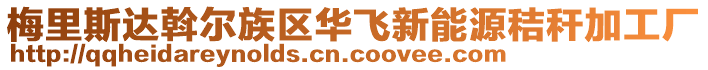 梅里斯達斡爾族區華飛新能源秸稈加工廠